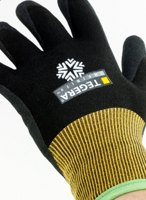Gants de protection FROID EJENDALS TEGERA® 8810 INFINITY™