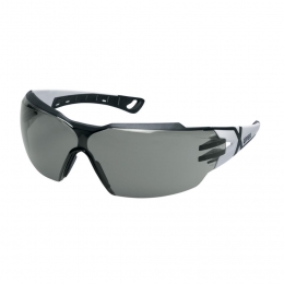 Lunettes de sécurité FUMÉES UVEX PHEOS CX2