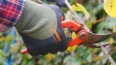 Gants de protection FROID ROSTAING MIDSEASON